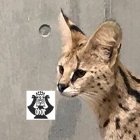 うに丼 (@unidon_8) 's Twitter Profile