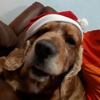 Roberto Vendrell (@vendrellroberto) 's Twitter Profile