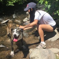Yumei Feng Earley (@yumeif1) 's Twitter Profile Photo Yumei Feng Earley (@yumeif1) 's Twitter Profile Photo