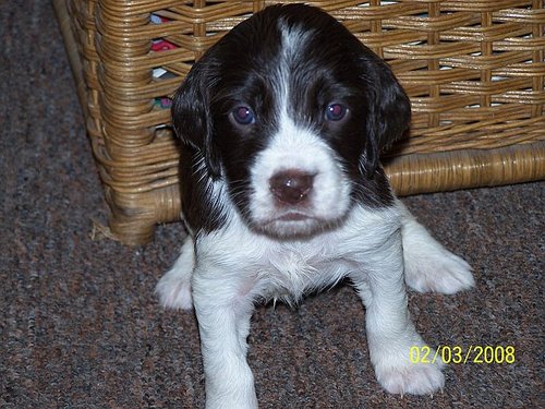 CareyShanahan's profile picture. Loving Life!