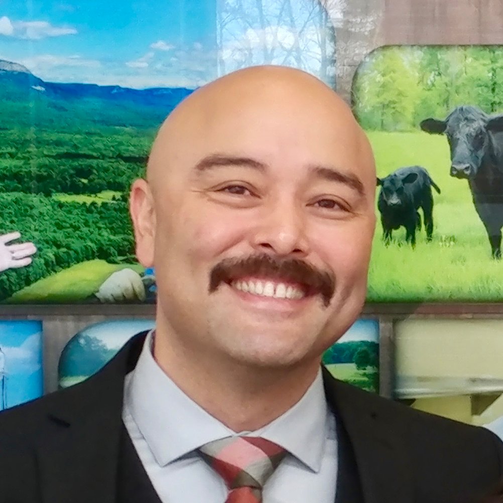 BorjaKlif's profile picture. 