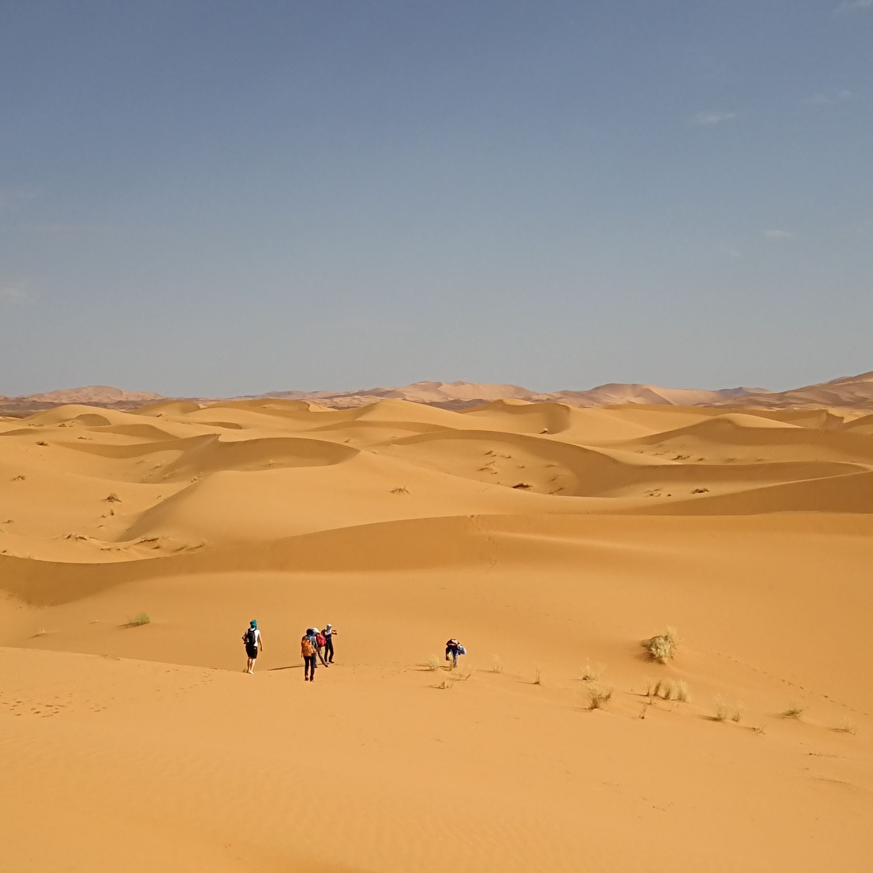 buzzt20's profile picture. privacy