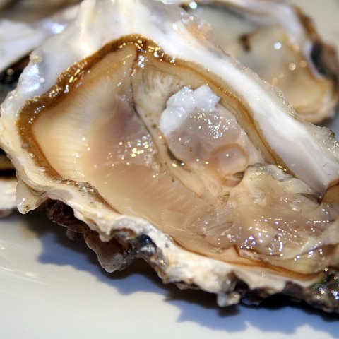 Enjoy New Zealand Oysters today... go on! what are you waiting for? :-) You'll love them.