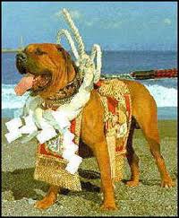 tosanoking's profile picture. 犬は嫌い。猫も嫌い。 食べることは好き。読書すき、SF、ディック、イーガン、レム、池波、安吾、寺山修司、小林恭治、ルポタージュ。落語、浪曲、寅三。映画、昔のSF、岡本喜八、川島雄三、深作欣二、ATG、原田芳雄、勝新、若山富三郎、萬屋錦之介。