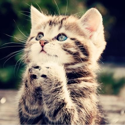 takumash2's profile picture. ICU.RN.criticare. master course student
NO BOOK IS NO LIFE.
I hope peace in the World