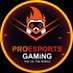 ProEsportsGaming (@You_vs_TheWorld) Twitter profile photo