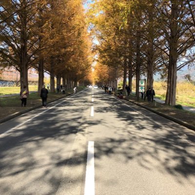 Life care〜gokan〜は皆様の心を今よりも豊かなものにする為の活動を行なっております。