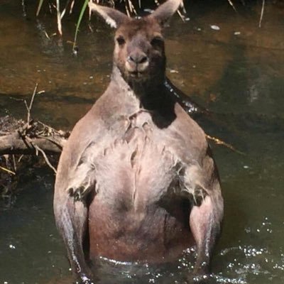 murdershewrot20's profile picture. Life is short live yours to the fullest. when you’re angry be quiet. I save lives for a living but I would do it for free. ⚜️⚜️⚜️⚜️⚜️⚜️⚜️#Whodat ⚜️⚜️🎉