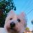 ajyuruのアイコン