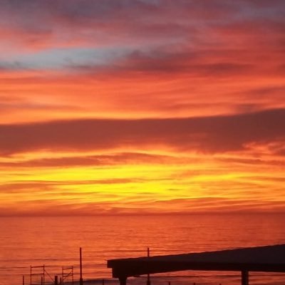 virgis5555's profile picture.