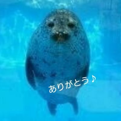 みなさん仲良くしてくれてありがとうございました(^^)/  新潟市水族館「マリンピア日本海」応援アカウントとしての役目は終えたと思っています。みなさまの健康とご多幸をお祈りしつつ m(_ _)m