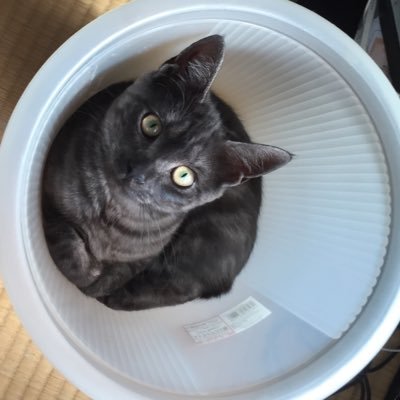 TWqeCMBc6OZDOe0's profile picture. いっかいこっち