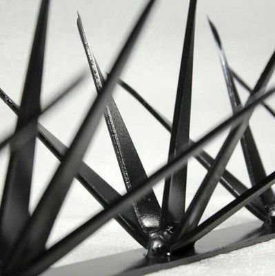 mab1608's profile picture. 