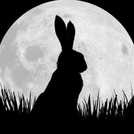 TheVeganHunter's profile picture. #Veganism #Animalwelfare #BanTrophyHunting #AnimalRights #Stoppoaching #StopExtinction