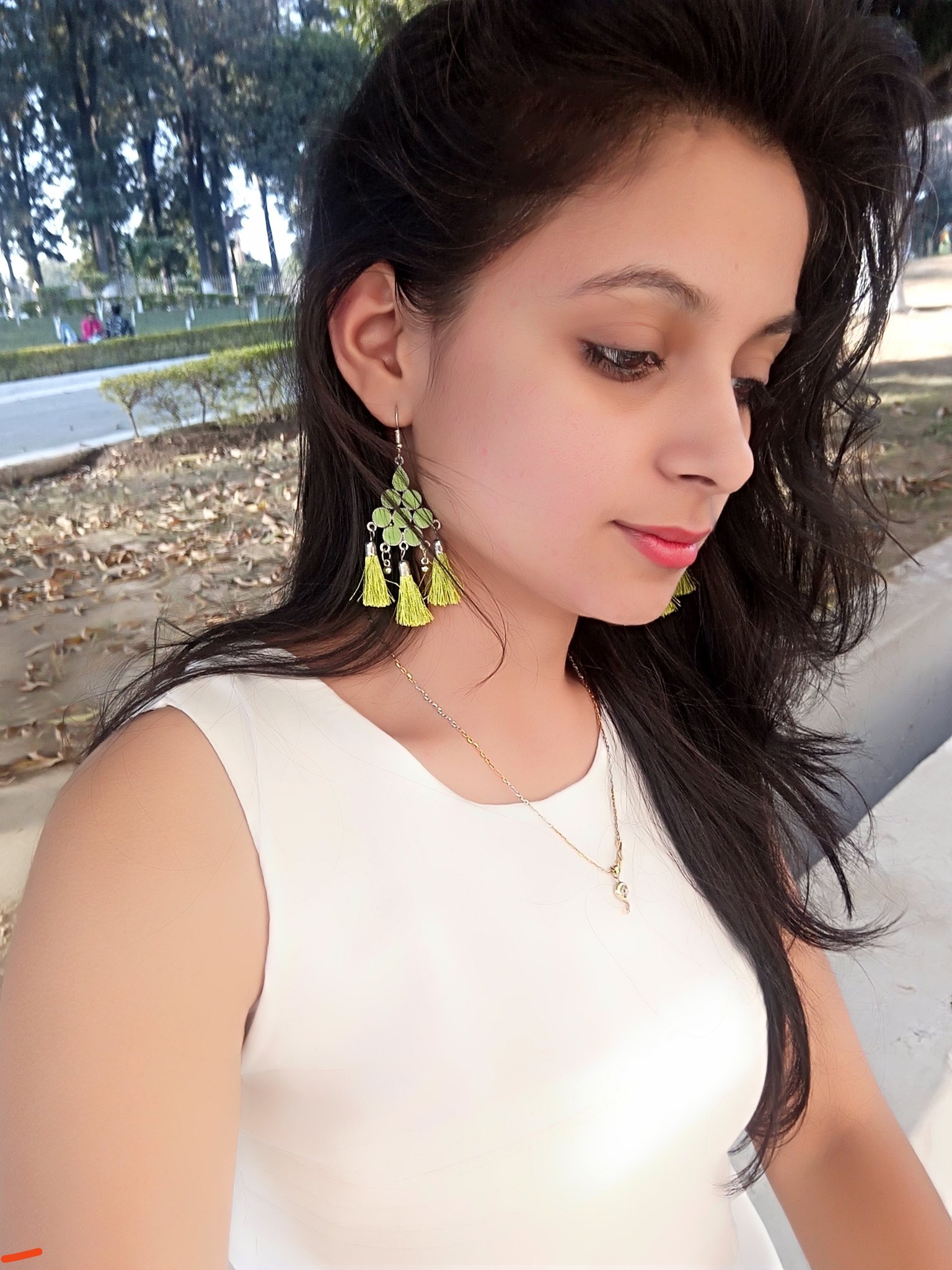 Working as an intern @ GVC Systems, noida