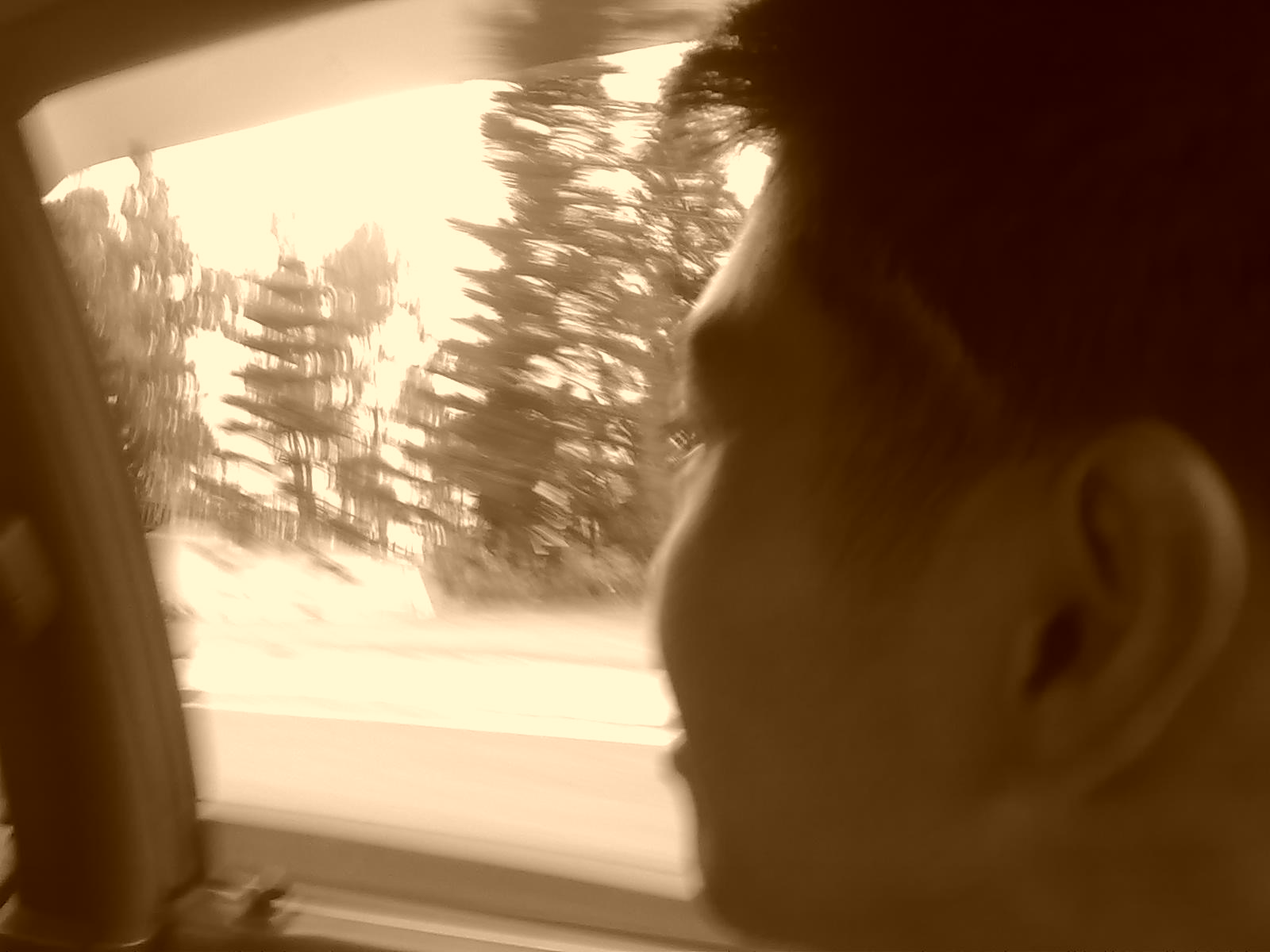 ammacaso's profile picture. 