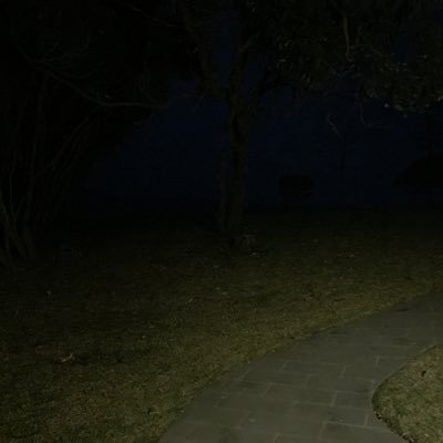 auspol897659's profile picture. 