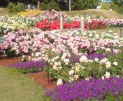 yukomama's profile picture. スポーツ観戦全般、特にテニス、ラグビーが大好き。ラファエル・ナダルを心の底から応援しています。
ママさんバレーでアタッカー＆たまにセッターやってます。