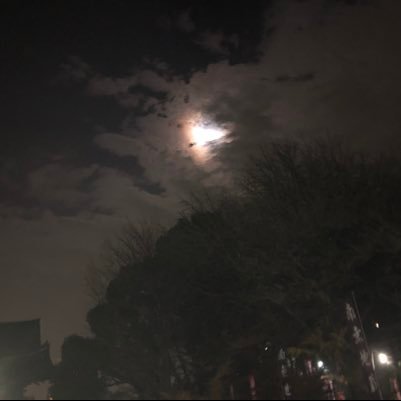 weSJ5aseb2UpB8h's profile picture. 理系大学情報系学科、卒業しております！ 理系科目で分からないところとかある方、質問とか頂ければお答えしていきたいです！IT系エンジニア目指しているので、IT分野の話も出来れば一層嬉しいです！