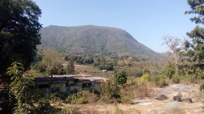 vswathi5's profile picture. wish me on August 30😍 and I love frndship