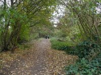 finsbury_park's profile picture. I live in Finsbury Park