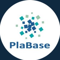 PlaBase (プラベース)【公式】プラスチック総合メディア (@_plabase_) 's Twitter Profile