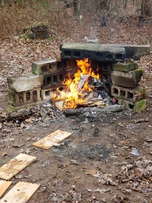 Autumn18417837's profile picture. ....I got nothin...