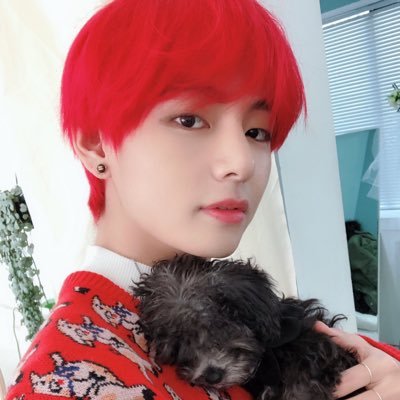 ~Spring will come someday The ice will melt and flow away Tell me if my voice isn’t real ~~ singularity🥀💛 {Fan account}