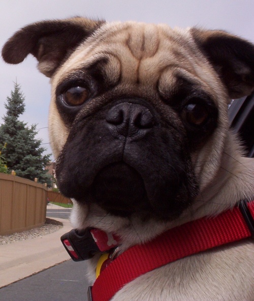 RyanHuffman's profile picture. GIS Guru