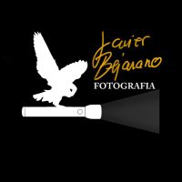 Javier Bejarano Fotografia(@jbejaranofoto) 's Twitter Profile Photo