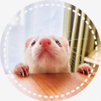 ふく (@fffffku_ferre) 's Twitter Profile