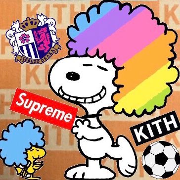 🌸セレッソ大阪/サッカー/マルセロ/バスケ/F1/スヌーピー/ディズニー/supreme/KITH/NIKE/スニーカーが大好きな♀🌸