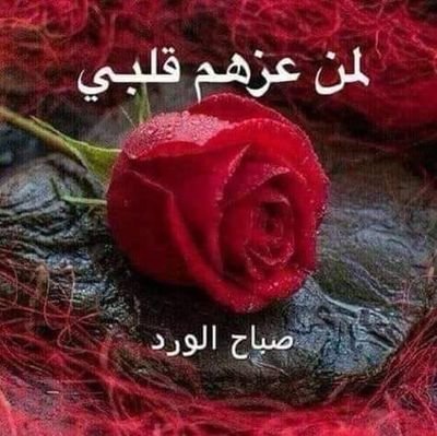 Said66581378's profile picture. 