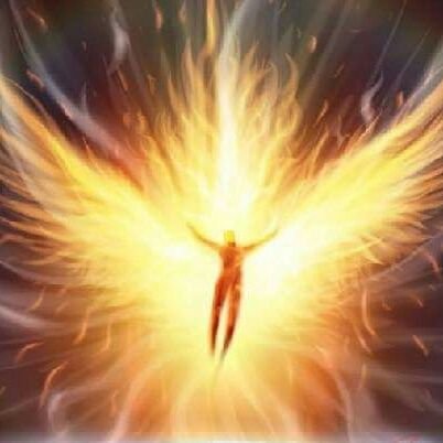 olexchest's profile picture. Професійний лайдак. Люблю мистецтво (особливо японське). 
シンプルなコンピュータウイルスです。芸術が好きです。