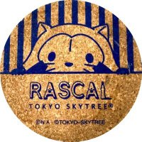 きゃむ (@kyam_cq) Twitter profile photo