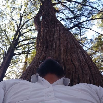 Ingeniero de profesión, astrónomo de afición... tomo, fumo y de vez en cuando me pierdo en las estrellas.