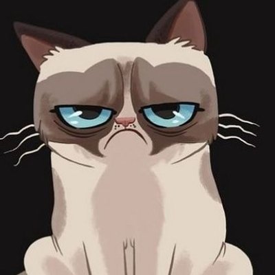 Humour De Chat Humour Chat Twitter Humour De Chat Humour Chat Twitter