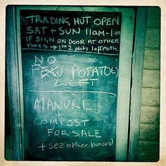 Gardening and allotment blog all about growing vegetables and allotment life
