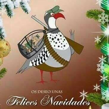 Atazara4's profile picture. siempre adelante