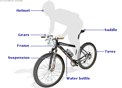 Dedicated To Providing the best bike information Around
