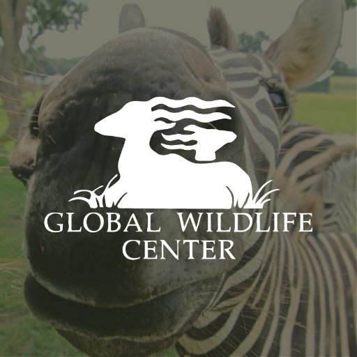Roam 900 acres with 4,000 exotic animals! For info and to book your next Corporate Event, School Fieldtrip, or Group Tour, call 985-624-WILD. #GlobalWildlife