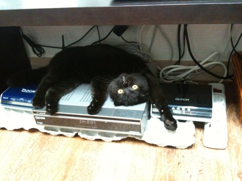 _inyou's profile picture. 