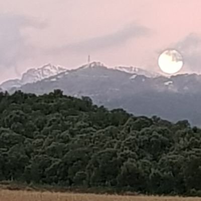 marie_marchioni's profile picture. viticulteur et producteur de clémentine