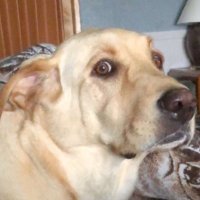 SlimeySlimmy (@kylemenning) 's Twitter Profile