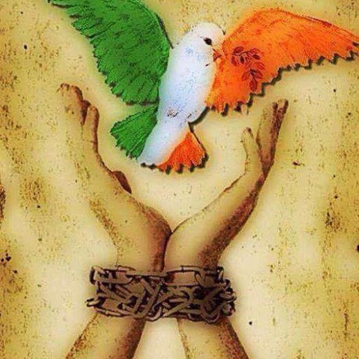 kelticknot13's profile picture. 