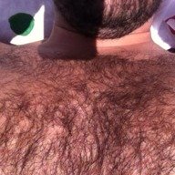 18+ #gay #hairy #bearmen #cumbeard