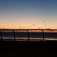 Scott (@scottjas22) 's Twitter Profile