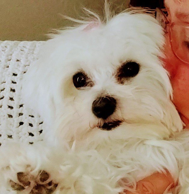 KelenPetersen's profile picture. 