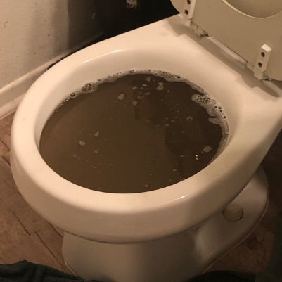 PooperReckless's profile picture. wrecking toilets since 99