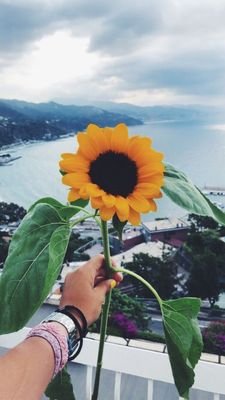 solarsystem009's profile picture. passion for the solar system!¡ 🌍